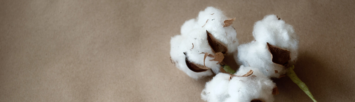 SMAKE-UP di Cotton Plus – La prima salvietta struccante asciutta